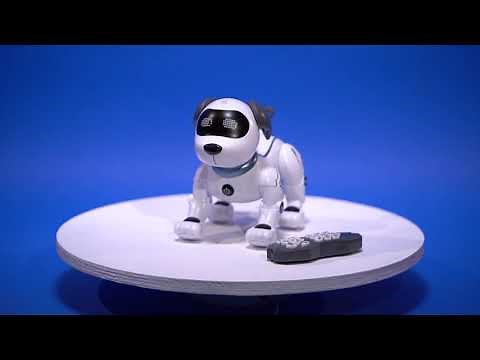 Robot chien : le compagnon sans poil des enfants !