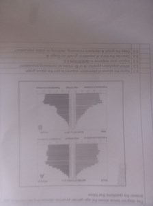 Questions based on the population pyramids diagram5.1 Name th... | Filo