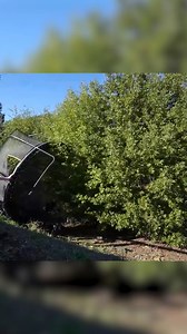 The Storm That Shook Us | Isaac & Andrea