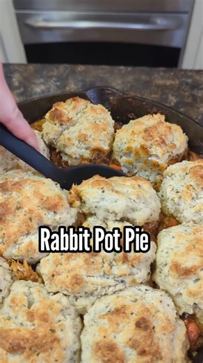 Elizabeth Kirk | Rabbit Pot Pie With a Biscuit Topping Comfort food on the homestead tonight. Rabbit pot pie with a biscuit topping. Not a full recipe,... | Instagram