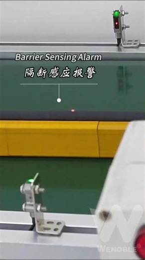 Diffuse Reflection Laser Sensor | Cap Front & Back Inspection Case