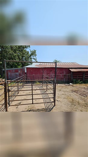 Catch and sort pen 👍 | pen