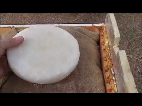 Easy to Make Sugar Patty, Late Winter bee feeding
