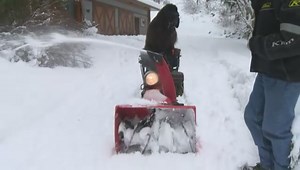 B.C. dog learns snow clearing trick
