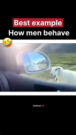 POV: Men will communicate with anything 💀😂 | funny memes #shorts