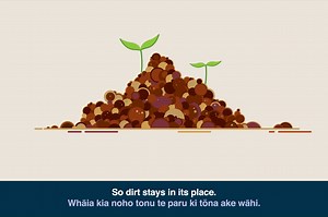 93K views · 630 reactions | Ever heard of something called sedimentation? Check out this video to find out what it is and how it impacts us and our environment! Interested in learning more? https://bit.ly/3m2Lzev | Department of Conservation | Facebook