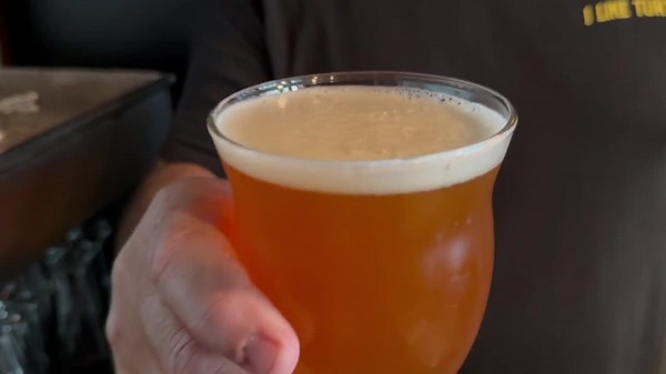 St. Pete's Green Turtle Brewery & Public House joins 'Gulp Coast Craft Beer Trail'