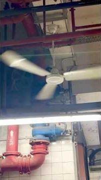 Current-gen SMC industrial ceiling fans and others (Woods, Wing Ton, Windy, etc) at a public market