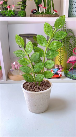 DIY ZZ Plant 🪴 #youtubeshorts #viralshorts