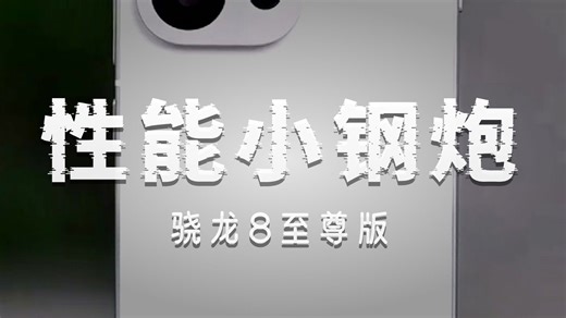 小尺寸高性能长续航，小屏旗舰仅此一款加13T——轻巧机身搭配强劲性能，日常通勤、游戏娱乐持久在线，单手掌控的极致体验。