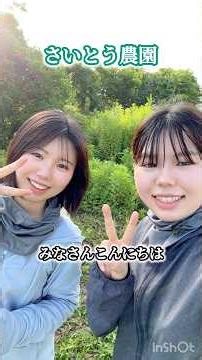 シャインマスカットがいい感じに膨らんできましたー！作業していたら魔法使い？が現れました#農業 #農業女子 #シャインマスカット #ぶどう