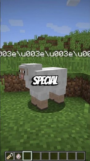 I Broke Nametags in Minecraft