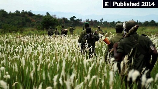 Gorillas in the Midst of a Battle Over Oil