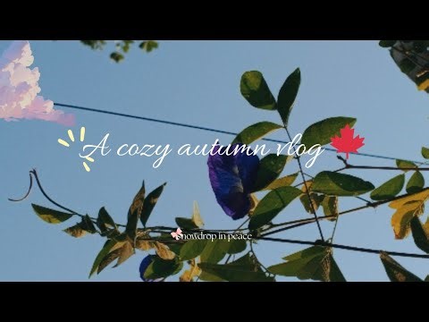 Cozy silent autumn vlog 🍂 self care • trying photography •aesthetic •business•slow living October 🇧🇩