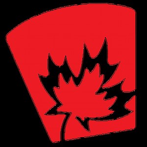 International Students – Canadian College of Performing Arts