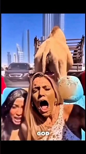 Funny Scene Fail 👀 😂 Wait for end 🤣 #trendingshorts