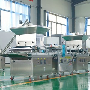 Reliable Performance New Type Seedling Machine for Lettuce Seeding