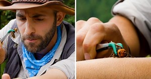 Coyote Peterson
