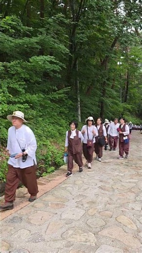 적멸보궁 법흥사 구법명찰순례_포교사단 대구지역단_ 2026 07 05