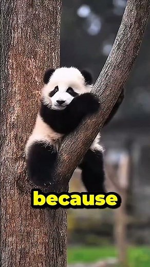 Baby Animals' Cutest Secrets You Never Knew! 🐼🦦 #shorts