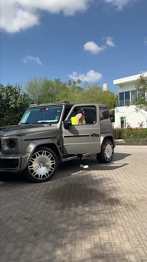 Here's why the OnePlus 12 is one of the best phones I've used so far this year! 😍📱 @OnePlus Europe #OnePlus #OnePlus12Series