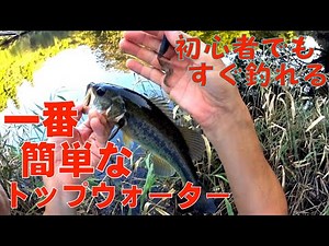 【バス釣り初心者】トップウォーター簡単ルアー動かし方 ~ワームスイミング~【370】虫くん釣りch