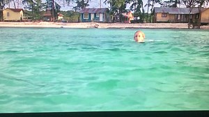 This scene from Jaws The Revenge