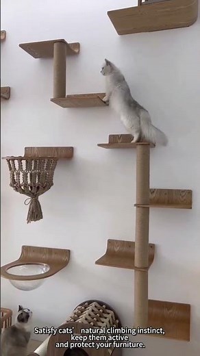 Solid Wood Wall Cat Climbing Frame – Where Cats Play & Rest in Style