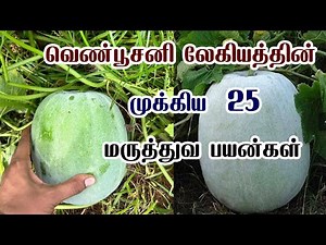 வெண்பூசணி லேகியம் பயன்கள் | Venpoosani Legiyum Benefits in tamil | வெண்பூசணி