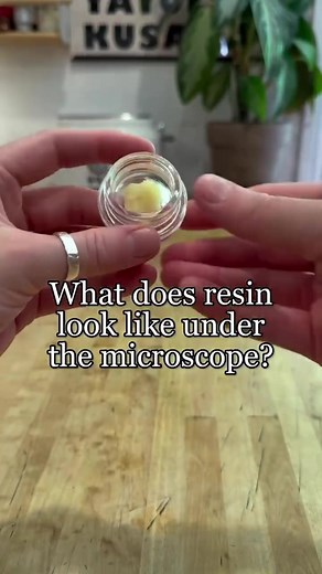 Microscopic Beauty of Extracts Revealed