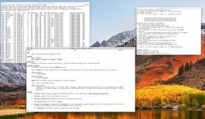 How to archive websites and online documents on macOS