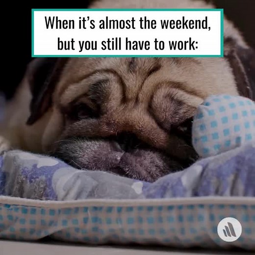 Feeling overwhelmed lately? Prioritize your self-care. Signs of burnout include anger, anxiety, depression, emotional exhaustion, feelings of ineffectiveness and negativity, headaches, stomachaches, irritability, and trouble sleeping. Learn more about physiologic stressors in veterinary medicine: : https://mrkmnls.co/4brpHCc | The Merck Veterinary Manual