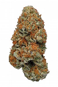 Purple Afghani Strain - Hybrid Cannabis Review,