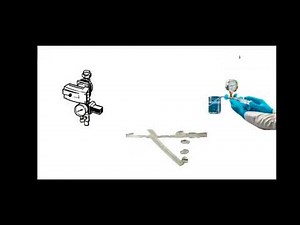 Bubble point filter integrity test