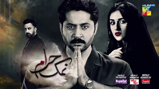 Namak Haram Episode 24