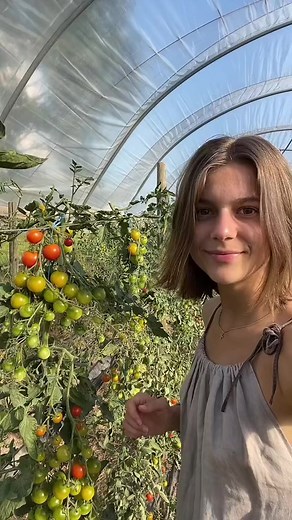 12K views · 133 reactions |  #asmr #eating | Anna Clips | Facebook