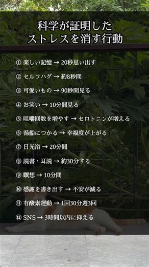 ㊗️4.1万再生‼️科学が証明したストレスを消す行動