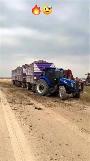 Discover the Best Compact Tractors for Cattle Farming