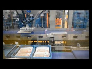 codian robotics packaging