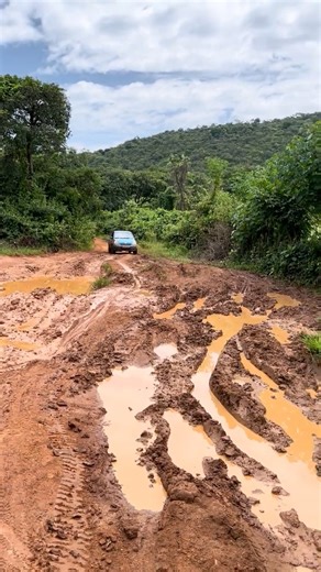 No 4x4, No Backup — Just Me, a 1-Litre Yaris, and the African Jungle 🚗🌴