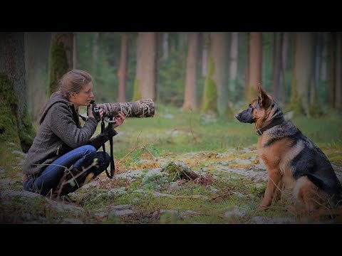 Wildlife photography 🦊Read and recognize tracks correctly 🦌🐿️