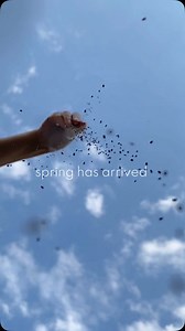 spring has sprung🌱 a time where seeds bloom the most due to ideal weather conditions that help them germinate, grow, and thrive. JUST LIKE US. spring is a time where we focus on reaching our goals, growing into the next phase, and where we blossom. let’s work together and make this spring season a successful one💪 #springhassprung #rainintl | Rain International