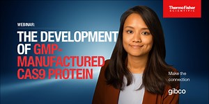 The development of GMP-manufactured Cas9 protein for therapeutic applications