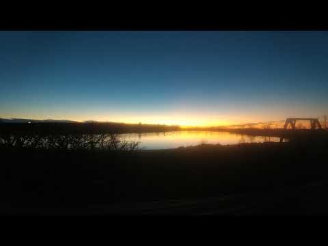 Cardboard selling simulator - !discord