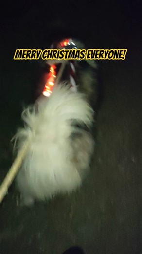 I wish you all a wonderful Christmas and thank you very much for your support. ❤️🙏😊