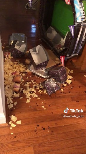 Hilarious Eagle Football Bloopers Compilation