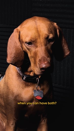 🎙️ Animates Pet Podcast: Our furry hosts are spilling the kibble on mixed feeding! 🐾 Mixed feeding gives your pet the best of both worlds: 💧 Hydration from wet food 🦷 Crunch & dental benefits from dry food 😋 Exciting textures & flavours - puurfect for fussy eaters! | Animates Vetcare NZ