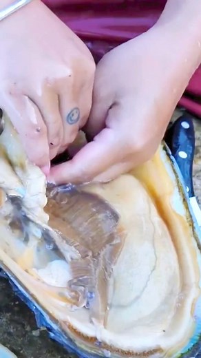 62K views · 829 reactions | Beautiful pearls #pearls #jewelry #fashion #pearl #handmade #earrings #jewellery #necklace #gold #pearlnecklace | Pearl Beauty | Facebook