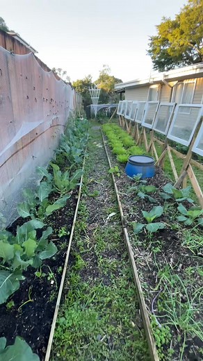 Handy tools to have in the garden #funny #gardener #garden | New world horticulture