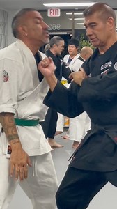 147K views · 1.6K reactions | Elongated motion #BeyondBasics #EdParkerSrKenpo #SelfDefense #MartialArts #MotionPhysics | Larry Kongaika Kenpo Ikka | Facebook